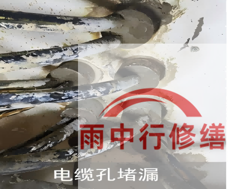 宁波电缆线空洞堵漏加固案例