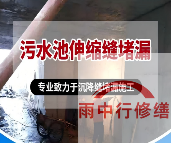 宁波某污水处理厂钢筋混凝土池堵漏案例